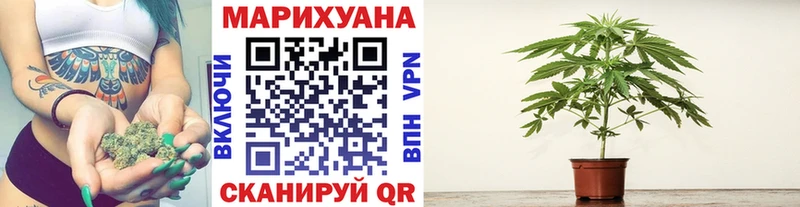Бошки Шишки конопля  Купить закладки  Фурманов 